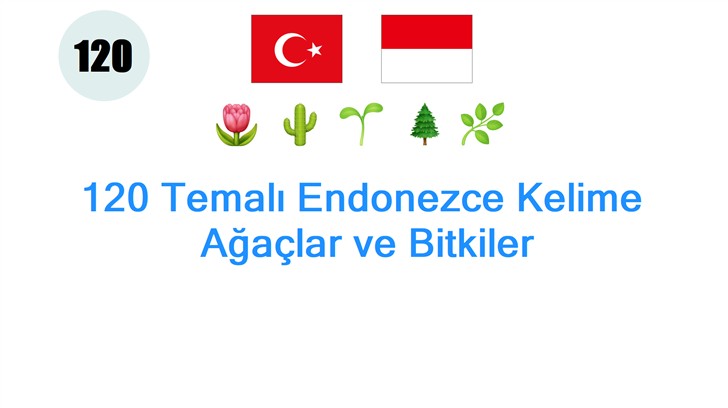 120 Temalı Endonezce Kelime: Ağaçlar ve Bitkiler